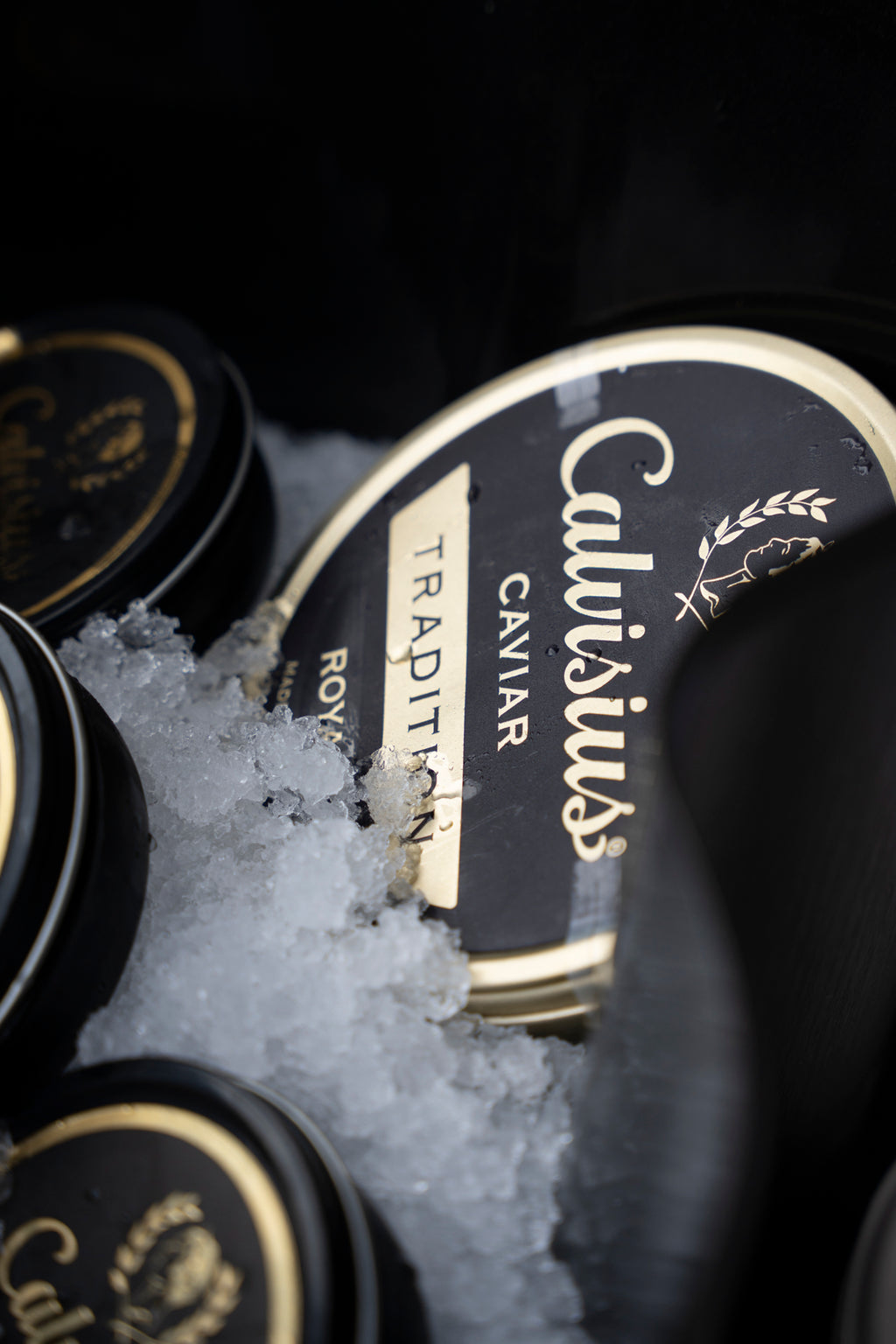 Calvisius & Friends