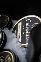 Calvisius & Friends
