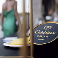 Calvisius & Friends