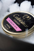 Calvisius & Friends