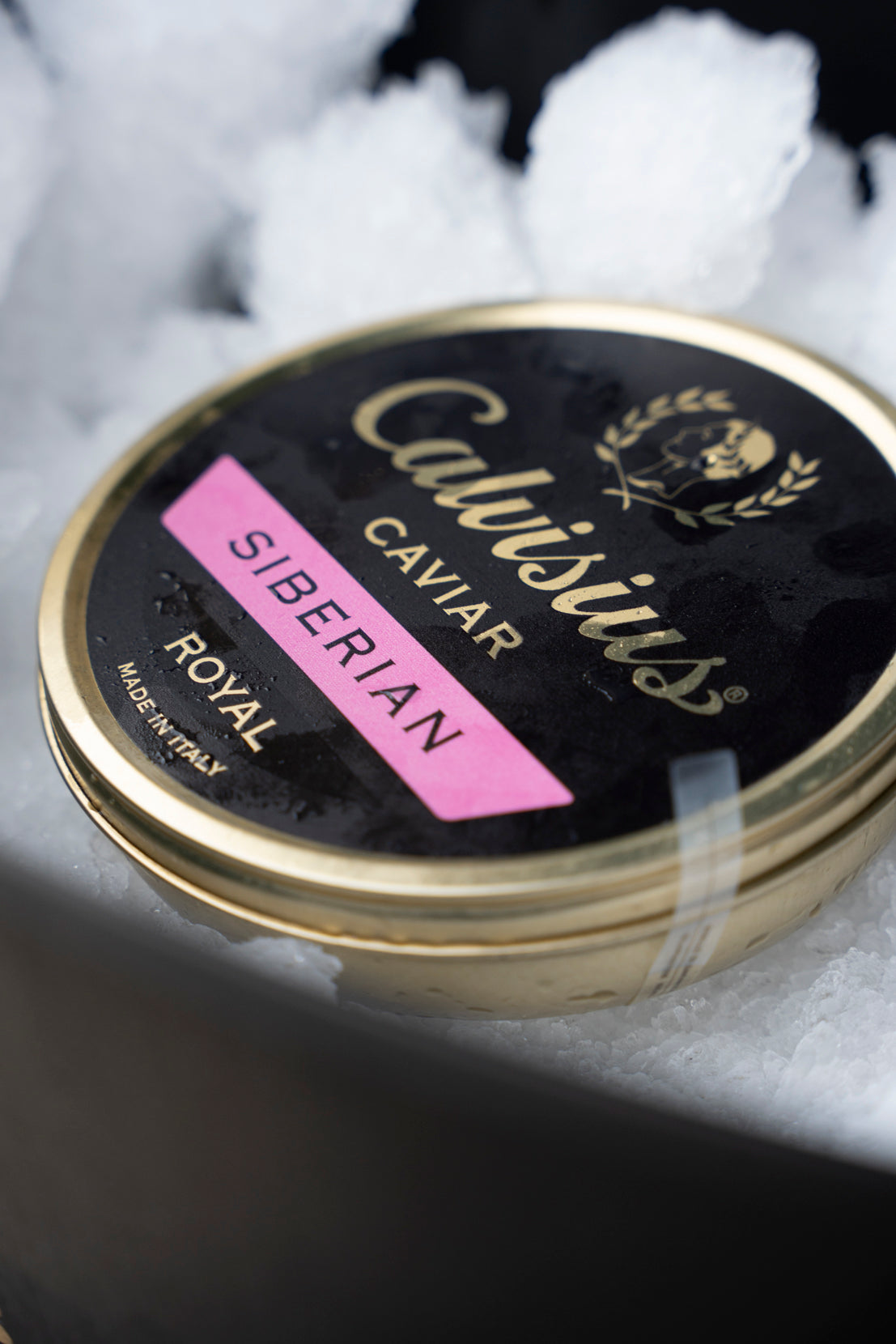 Calvisius & Friends
