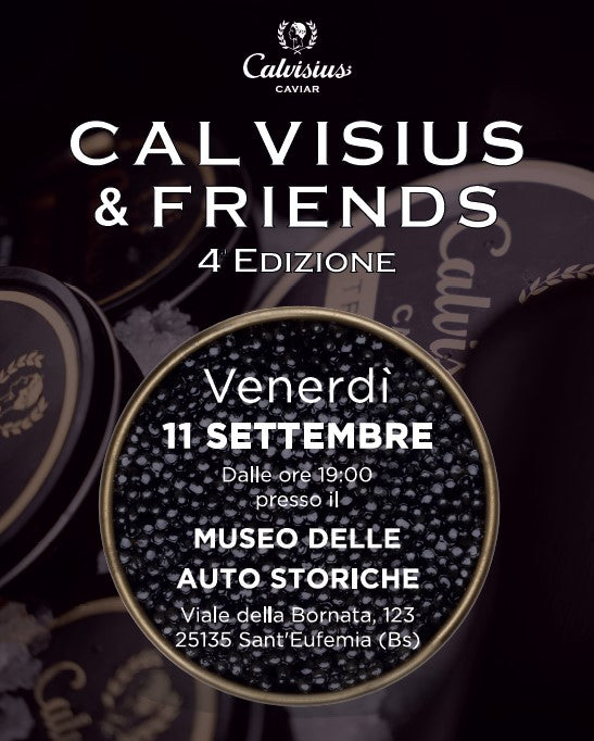 Calvisius & Friends