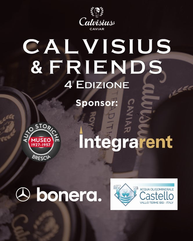 Calvisius & Friends